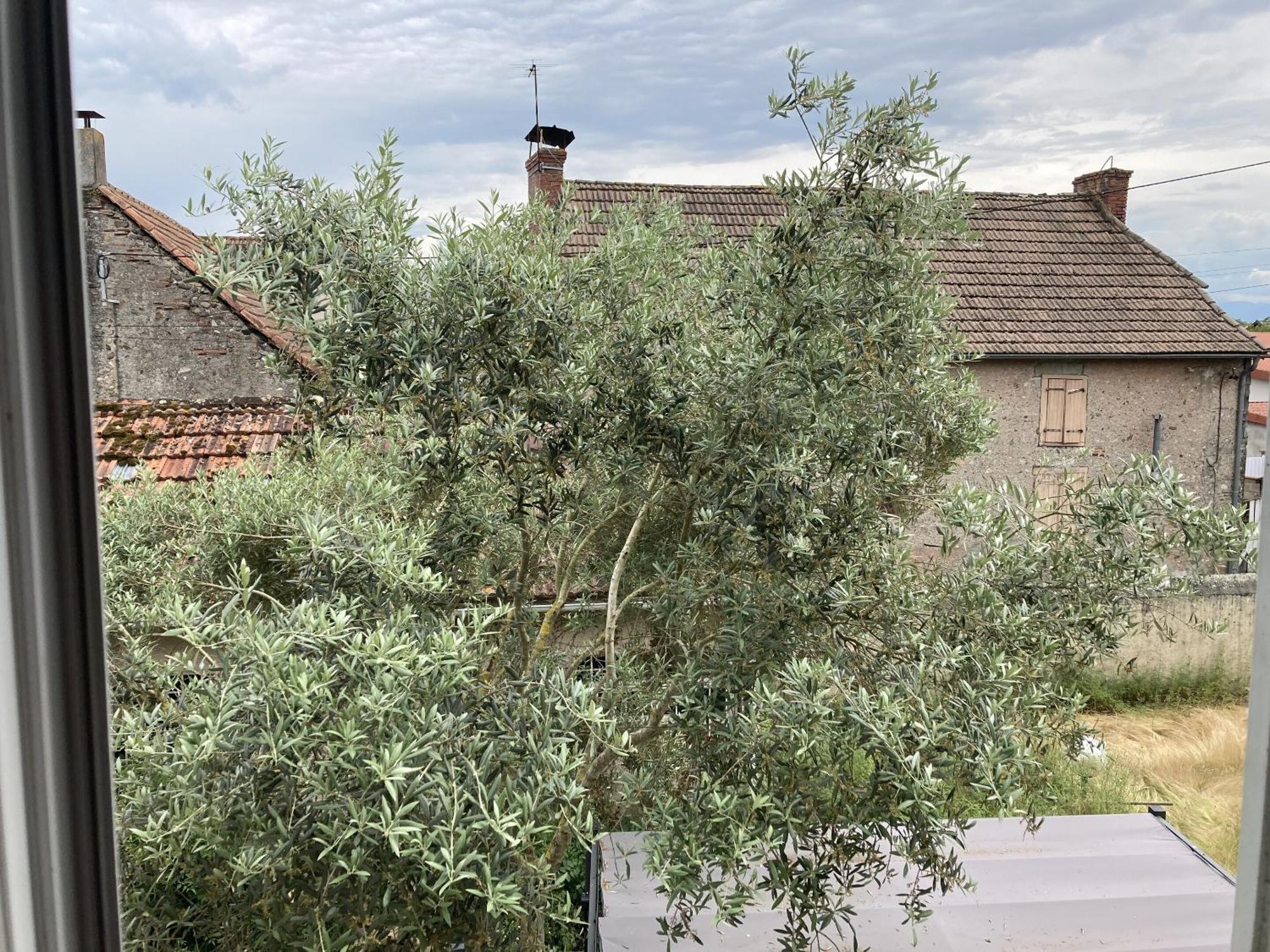 Location Appartement Des Pyrenees Borderes-sur-l'Echez 部屋 写真