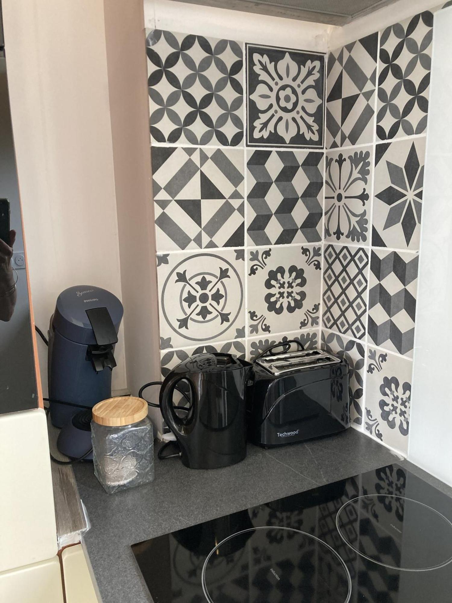Location Appartement Des Pyrenees Borderes-sur-l'Echez 部屋 写真